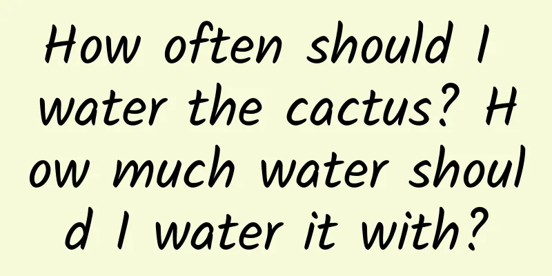 How often should I water the cactus? How much water should I water it with?