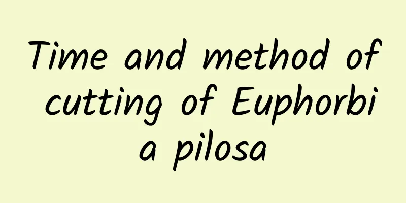 Time and method of cutting of Euphorbia pilosa