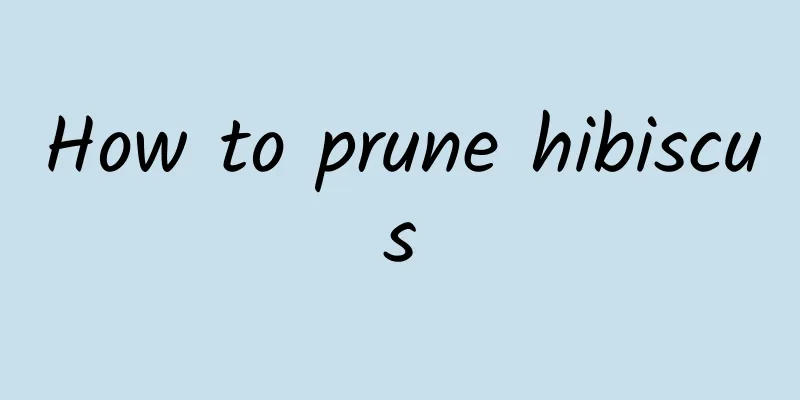 How to prune hibiscus