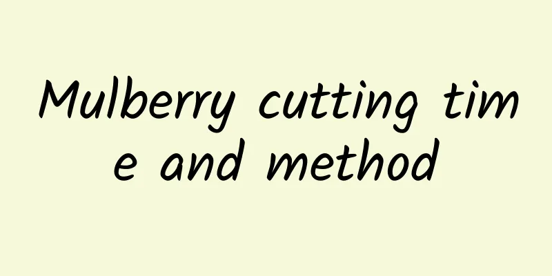 Mulberry cutting time and method