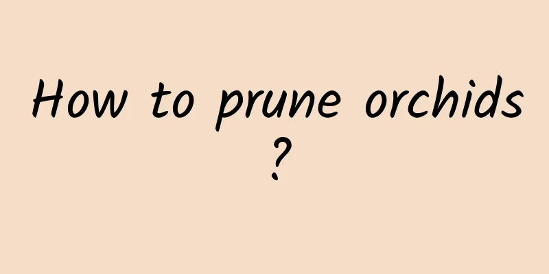 How to prune orchids?