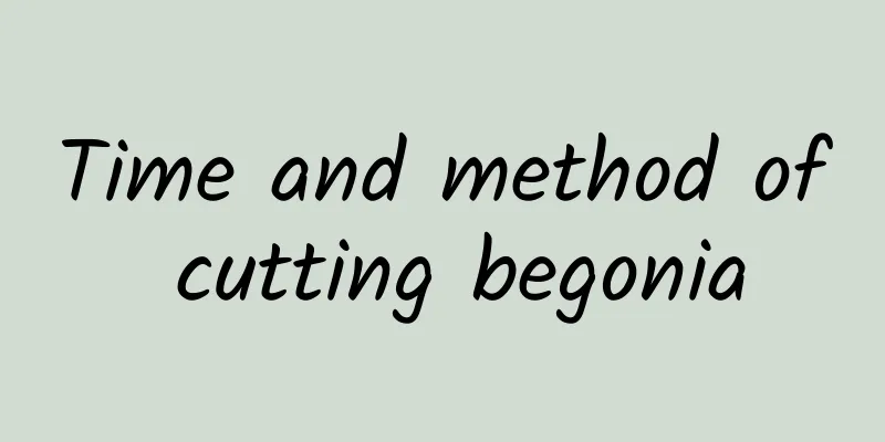 Time and method of cutting begonia