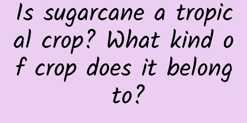 Is sugarcane a tropical crop? What kind of crop does it belong to?