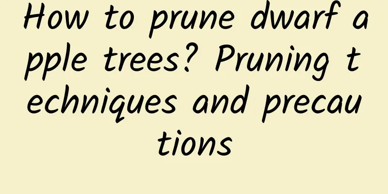 How to prune dwarf apple trees? Pruning techniques and precautions