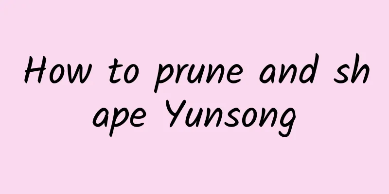 How to prune and shape Yunsong