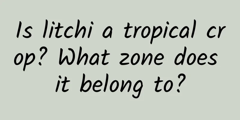 Is litchi a tropical crop? What zone does it belong to?
