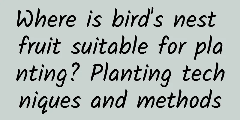 Where is bird's nest fruit suitable for planting? Planting techniques and methods
