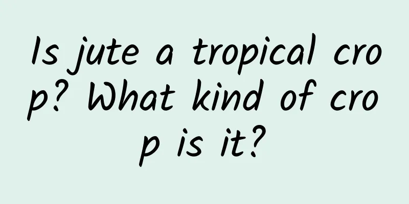 Is jute a tropical crop? What kind of crop is it?