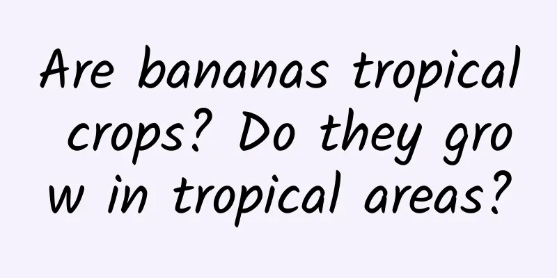 Are bananas tropical crops? Do they grow in tropical areas?