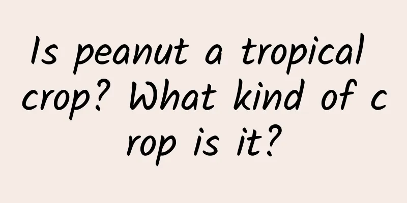 Is peanut a tropical crop? What kind of crop is it?
