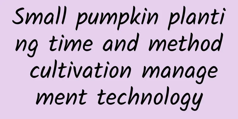 Small pumpkin planting time and method cultivation management technology