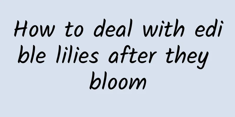How to deal with edible lilies after they bloom