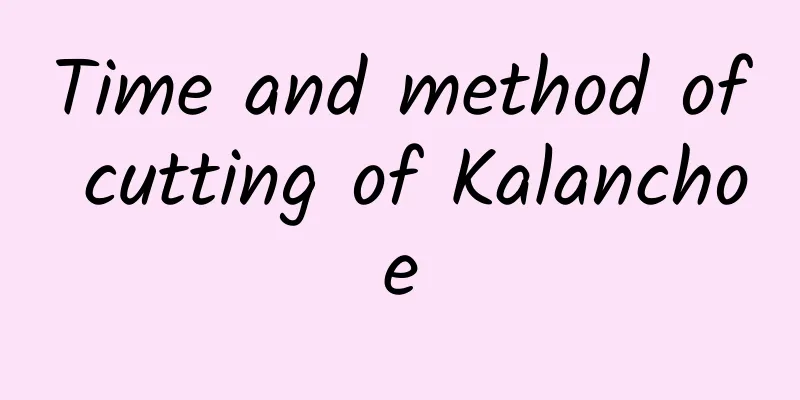 Time and method of cutting of Kalanchoe