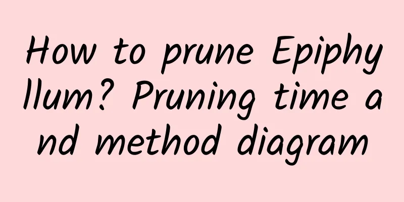 How to prune Epiphyllum? Pruning time and method diagram