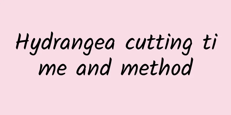 Hydrangea cutting time and method