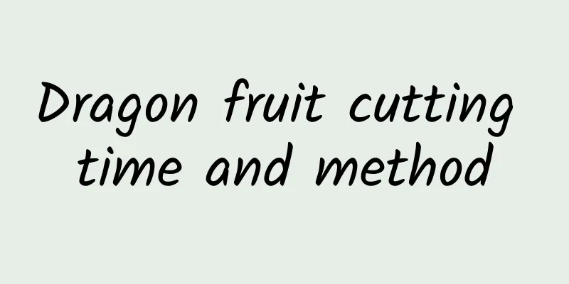 Dragon fruit cutting time and method