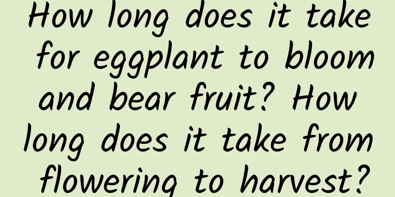 How long does it take for eggplant to bloom and bear fruit? How long does it take from flowering to harvest?
