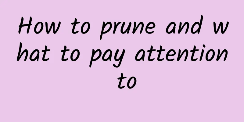 How to prune and what to pay attention to