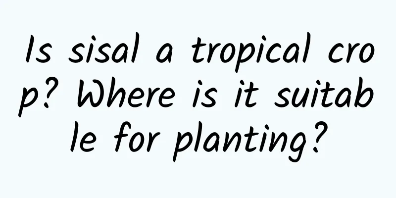 Is sisal a tropical crop? Where is it suitable for planting?