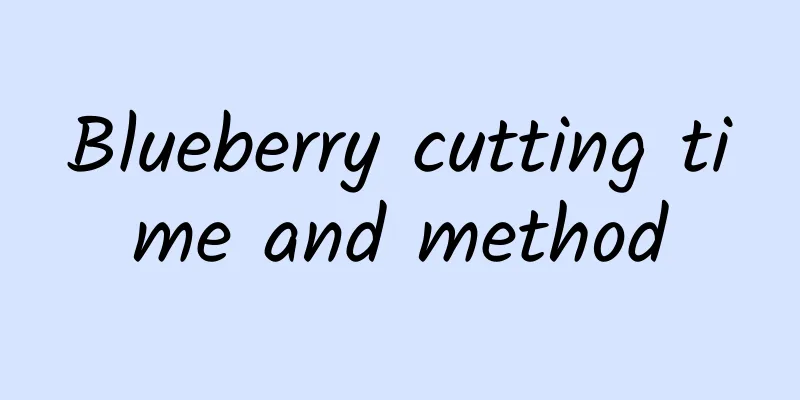 Blueberry cutting time and method