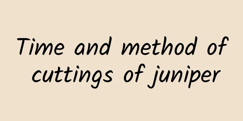 Time and method of cuttings of juniper