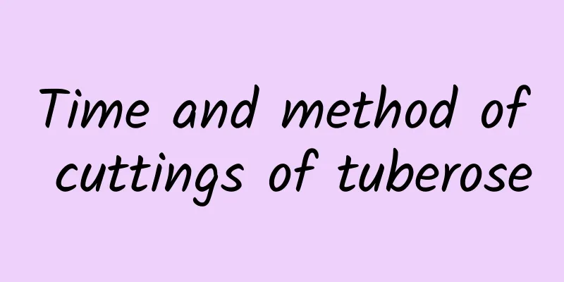 Time and method of cuttings of tuberose