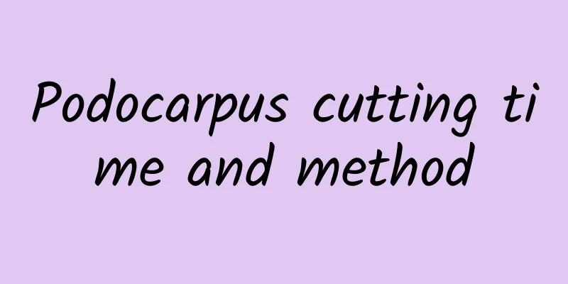 Podocarpus cutting time and method
