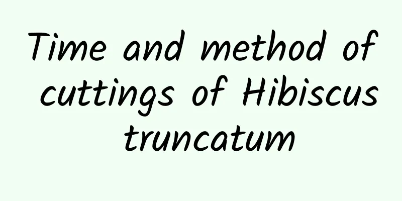 Time and method of cuttings of Hibiscus truncatum