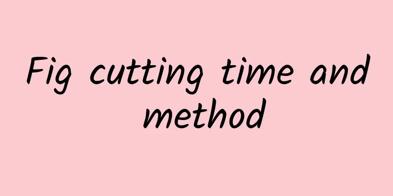 Fig cutting time and method