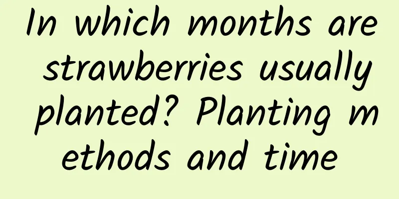 In which months are strawberries usually planted? Planting methods and time