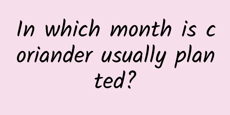 In which month is coriander usually planted?
