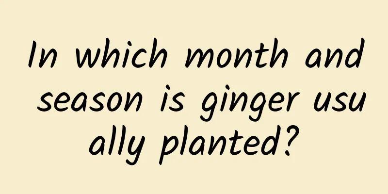 In which month and season is ginger usually planted?