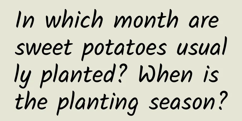 In which month are sweet potatoes usually planted? When is the planting season?
