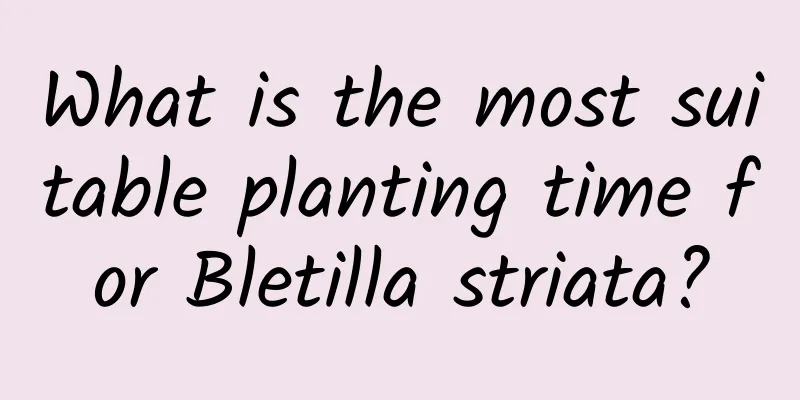 What is the most suitable planting time for Bletilla striata?