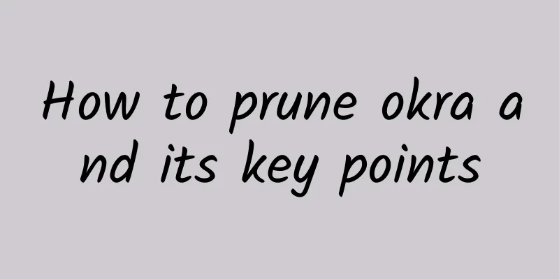 How to prune okra and its key points