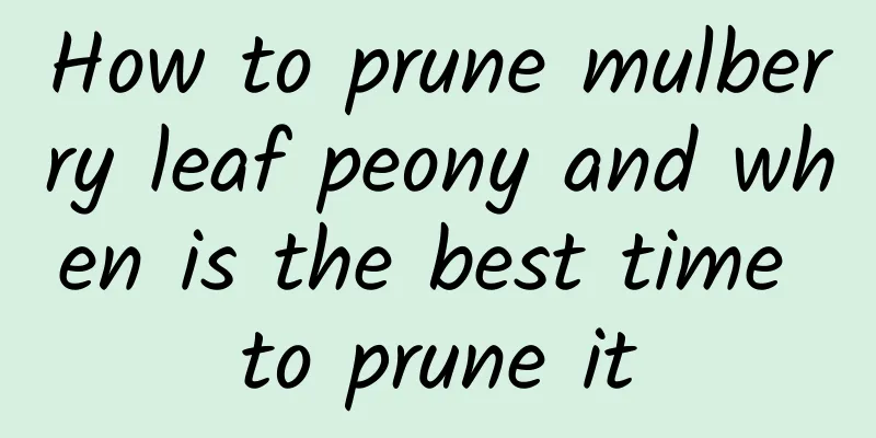 How to prune mulberry leaf peony and when is the best time to prune it