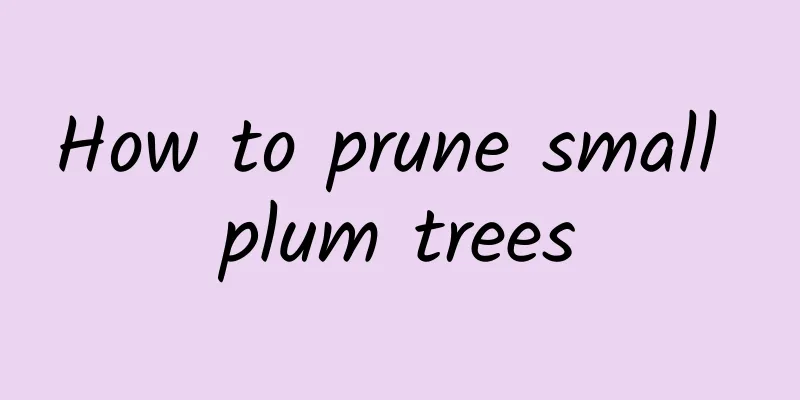 How to prune small plum trees