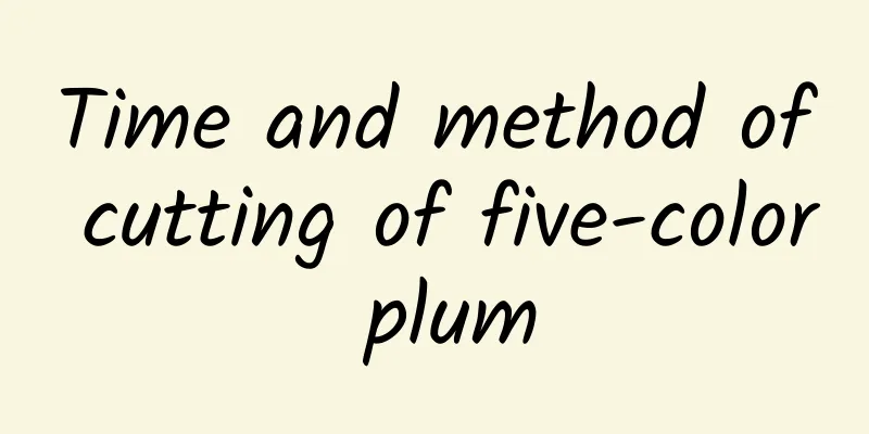 Time and method of cutting of five-color plum