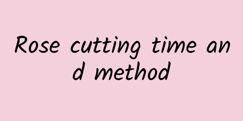 Rose cutting time and method