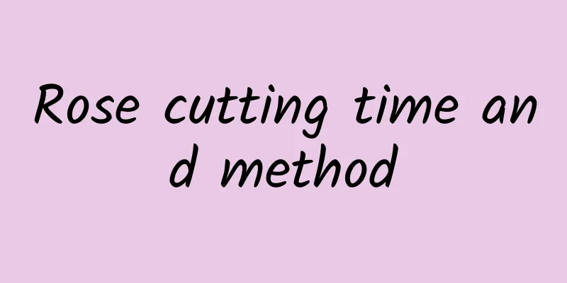 Rose cutting time and method
