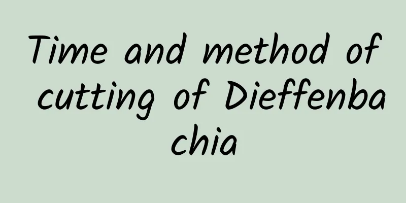 Time and method of cutting of Dieffenbachia