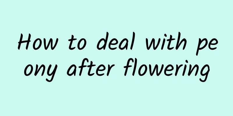 How to deal with peony after flowering