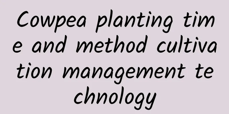 Cowpea planting time and method cultivation management technology