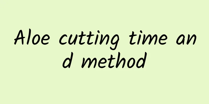 Aloe cutting time and method