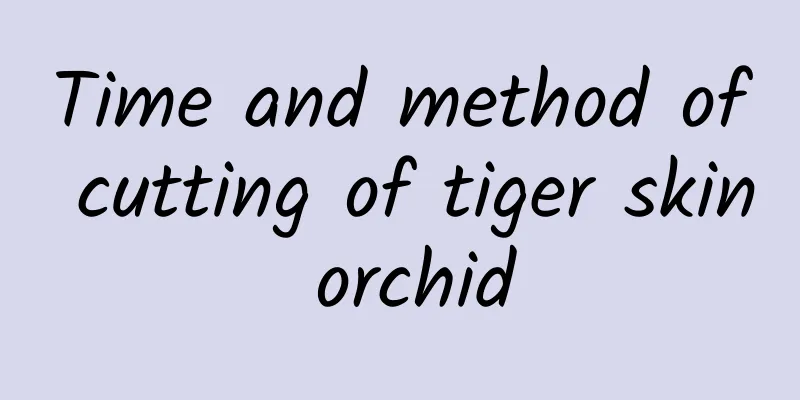 Time and method of cutting of tiger skin orchid