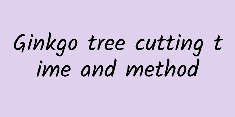 Ginkgo tree cutting time and method