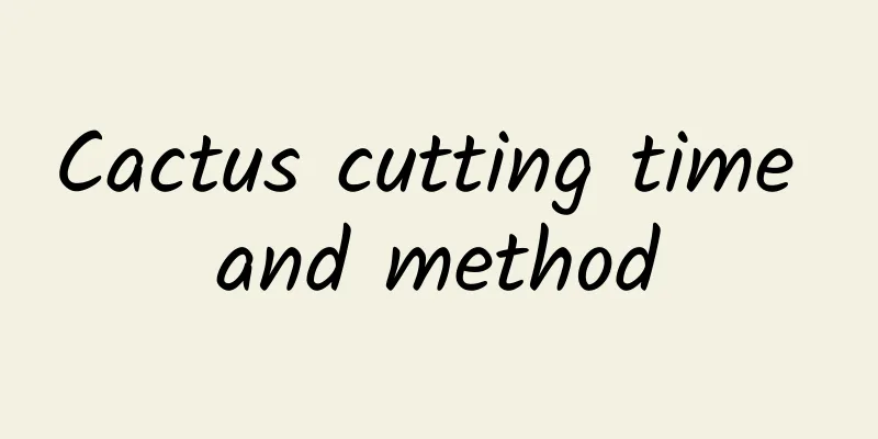 Cactus cutting time and method