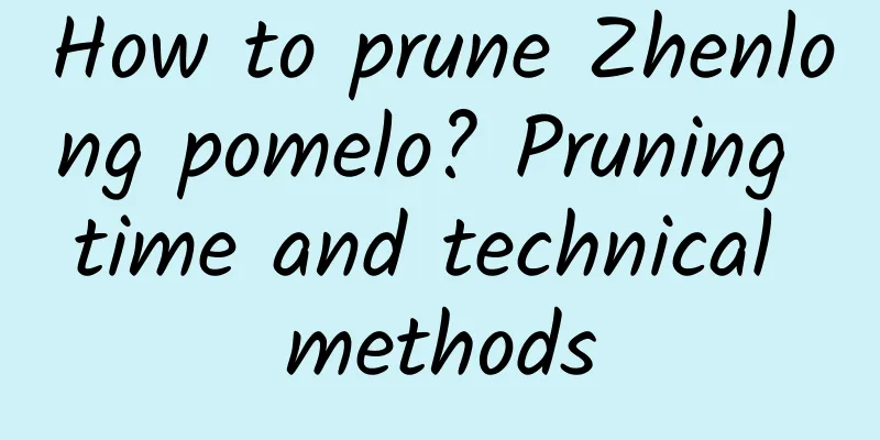 How to prune Zhenlong pomelo? Pruning time and technical methods