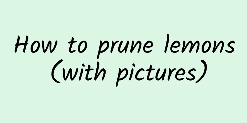 How to prune lemons (with pictures)