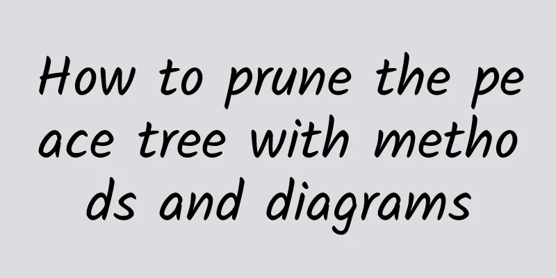 How to prune the peace tree with methods and diagrams